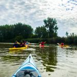 DSPM-Montréal-Automne 2019-Mayak. Le groupe en en kayak et mayak vue de derrière.